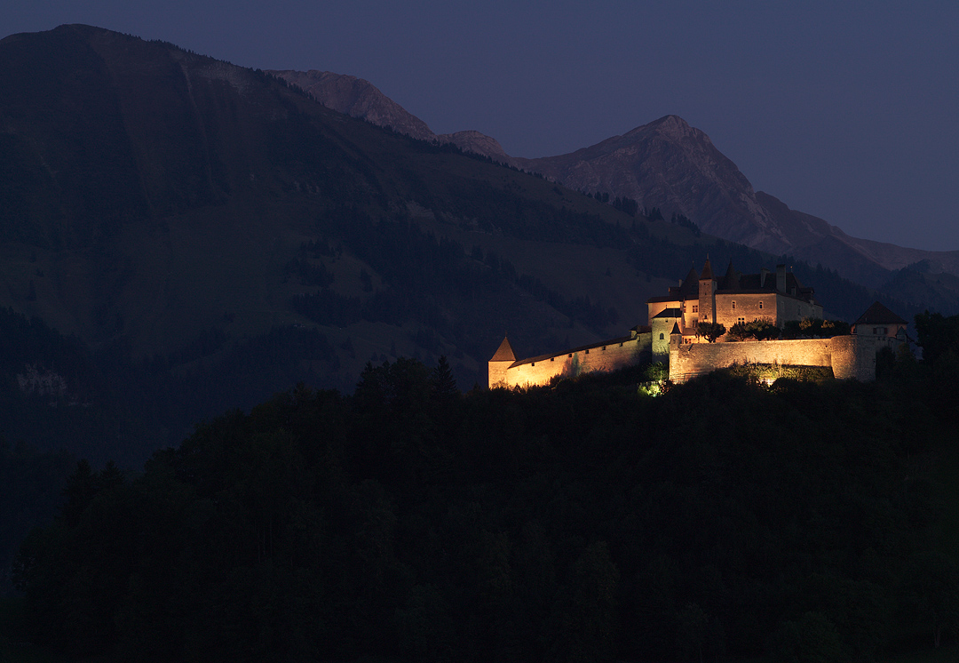 AI.1.00116.0029 / Gruyeres castle